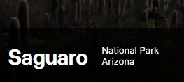 Gay Tucson Now|Saguaro National Park Tucson Activties Events Tours